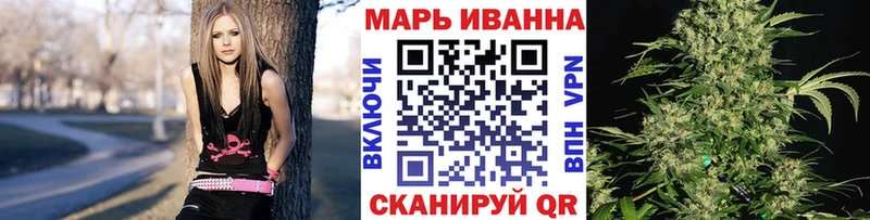 Марихуана сатива Монино